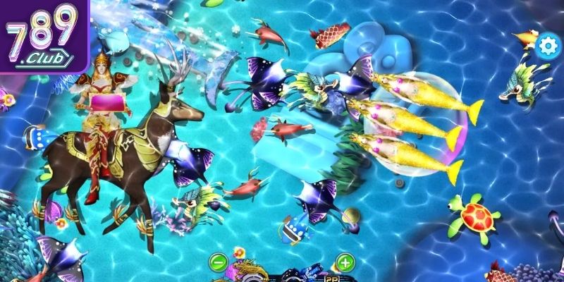 Sinh vật biển phong phú 