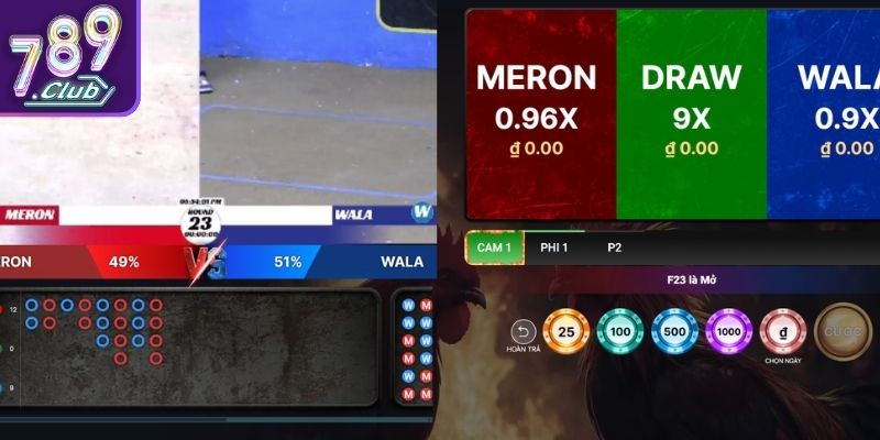 Tổng quan sảnh Đá Gà 789club