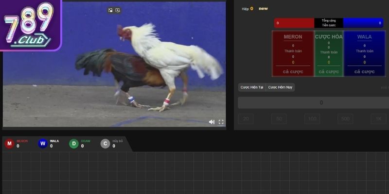 Thông tin chiến kê minh bạch và chi tiết