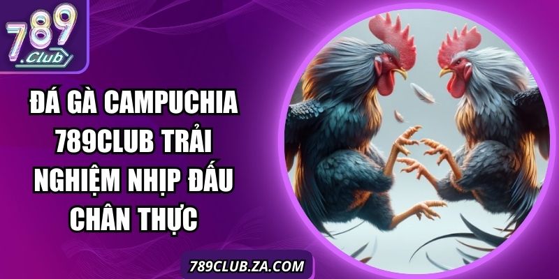 Đá Gà Campuchia 789Club Trải Nghiệm Nhịp Đấu Chân Thực
