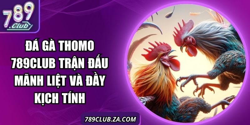 Đá Gà Thomo 789Club Trận Đấu Mãnh Liệt Và Đầy Kịch Tính